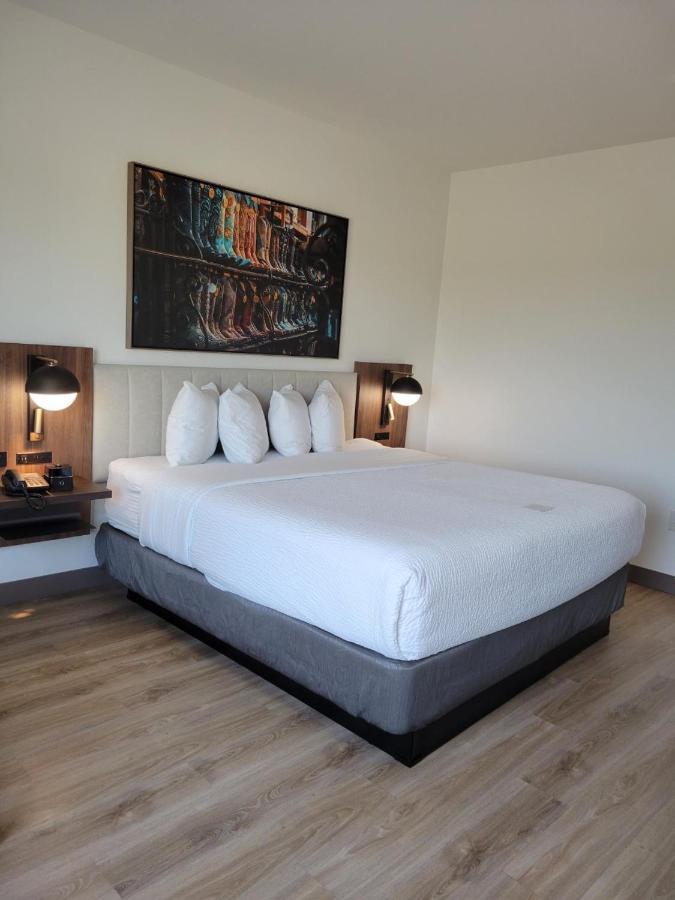 La Quinta Inn & Suites By Wyndham Terrell Ngoại thất bức ảnh