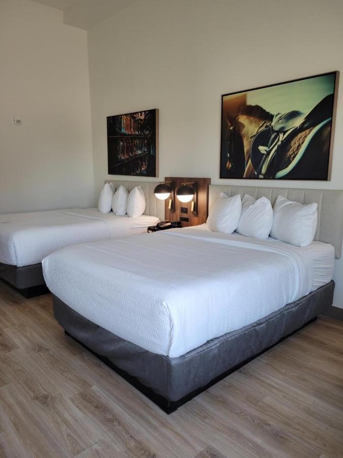 La Quinta Inn & Suites By Wyndham Terrell Ngoại thất bức ảnh
