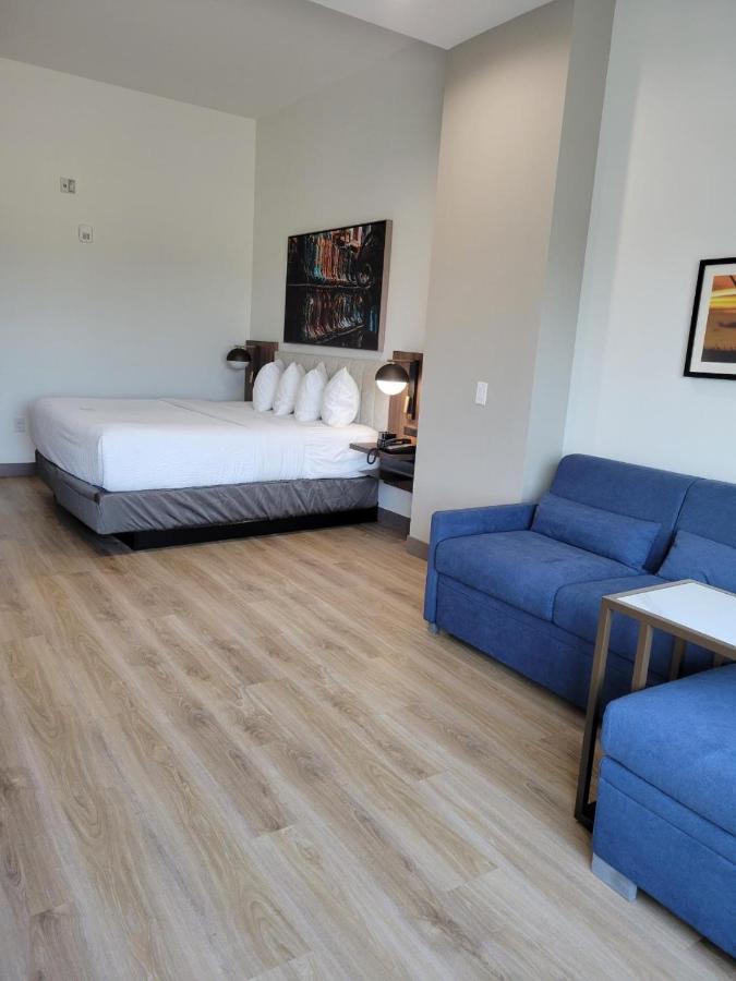 La Quinta Inn & Suites By Wyndham Terrell Ngoại thất bức ảnh
